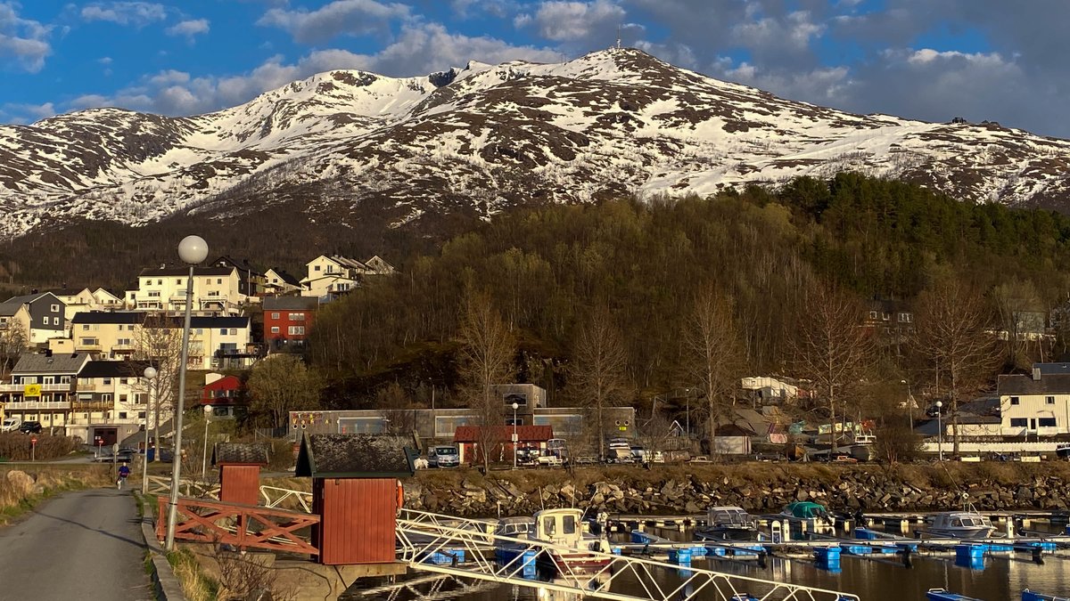 rossmackenzie's tweet photo. Wandering around the Narvik marina in the evening sunshine #Narvik #Norway #68N https://t.co/ZbfyAYbvva