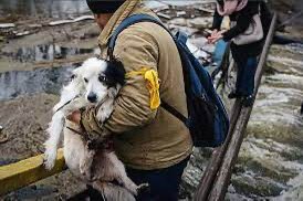 @WmDeanFrench I watched the PBS show on Nature; “Saving the Animals of Ukraine” that aired yesterday. If you can see it, Bill, you should watch it. Ukrainians don’t differentiate between human lives & animal lives; all lives matter. That show just drove me to love my heritage even more!