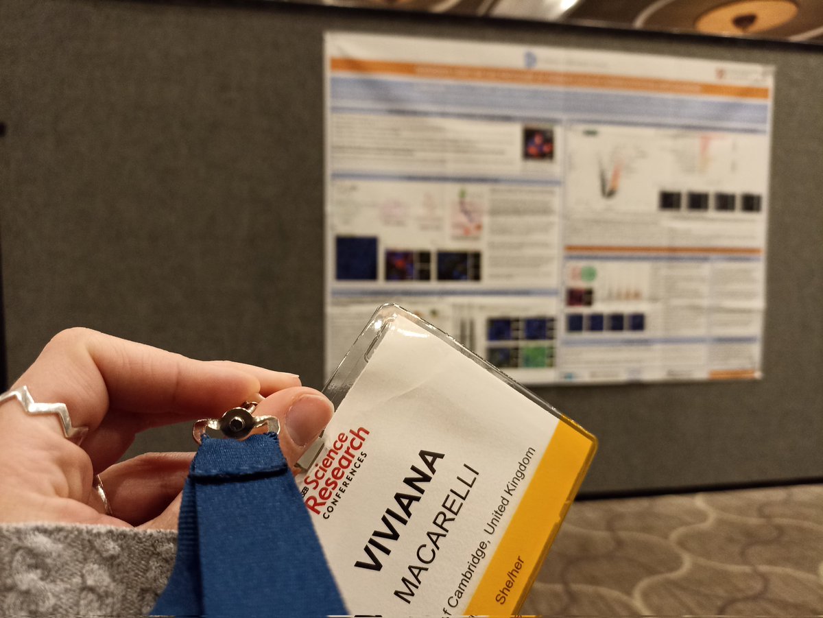 Viviana Macarelli tweet media