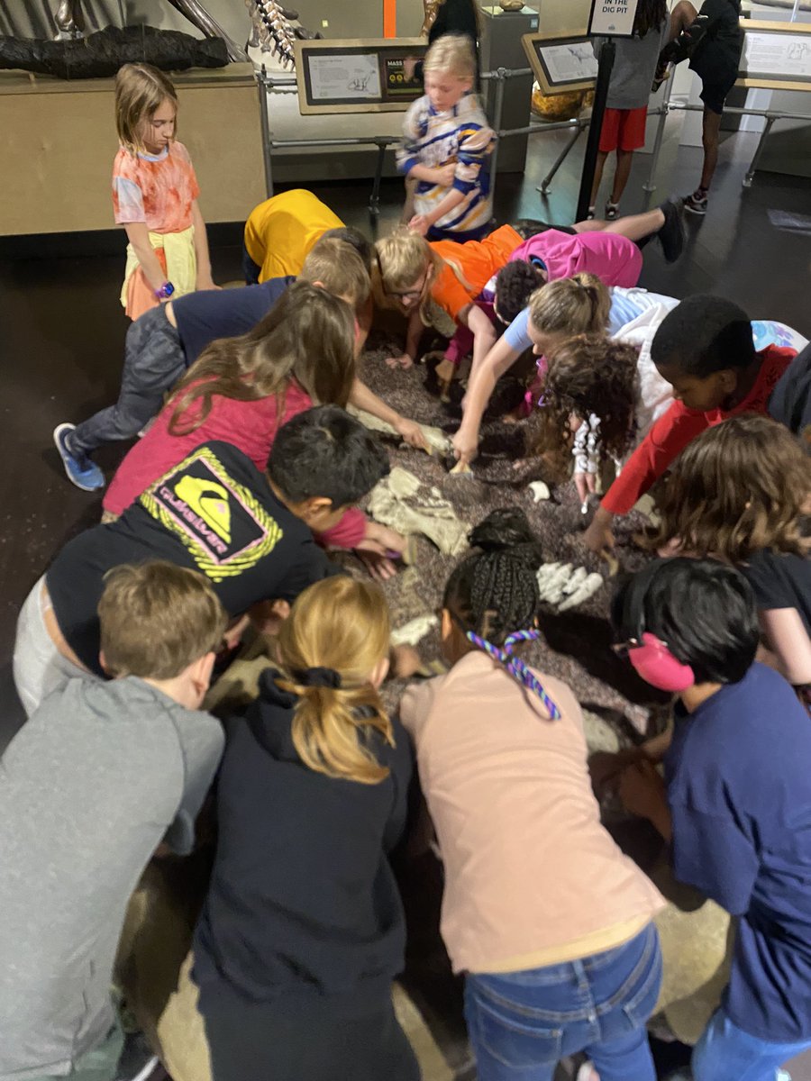 MrsWeiserWR's tweet photo. Field trip to @buffaloscience ! We realized that a museum is organized like a nonfiction book 🤩
Topic: Science
Subtopics (each floor): physical science, earth science, life science

The entrance of each exhibit was even labeled (there’s your heading) Lots to connect today! https://t.co/yxT4MDQqvw