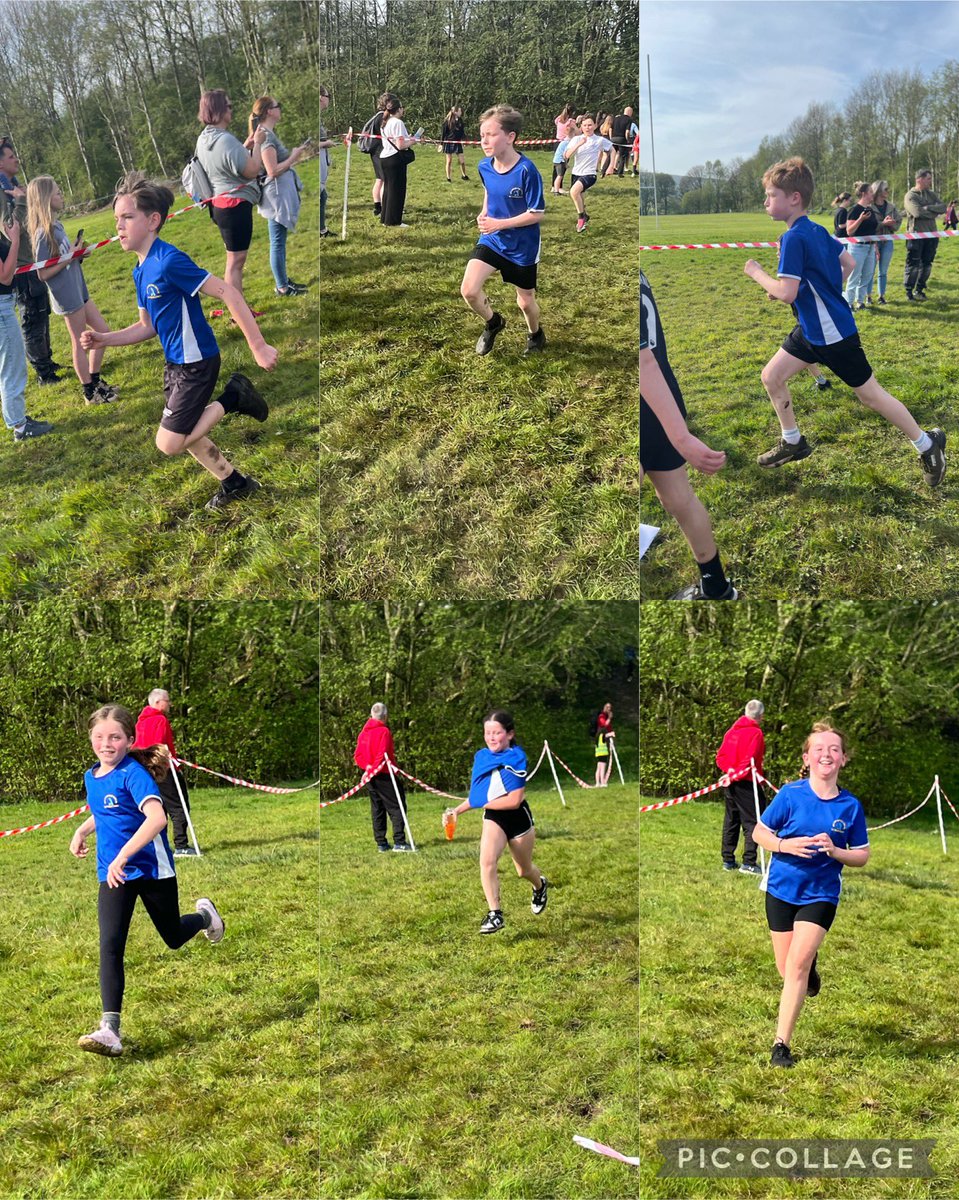 OlsaSports's tweet photo. Well done to all the children who took part in the years 3/4 and 5/6 Cross Country competition! It was a tough course and you all kept going 🙌🏼 🏃🏽‍♀️ https://t.co/VsSpUhllOQ
