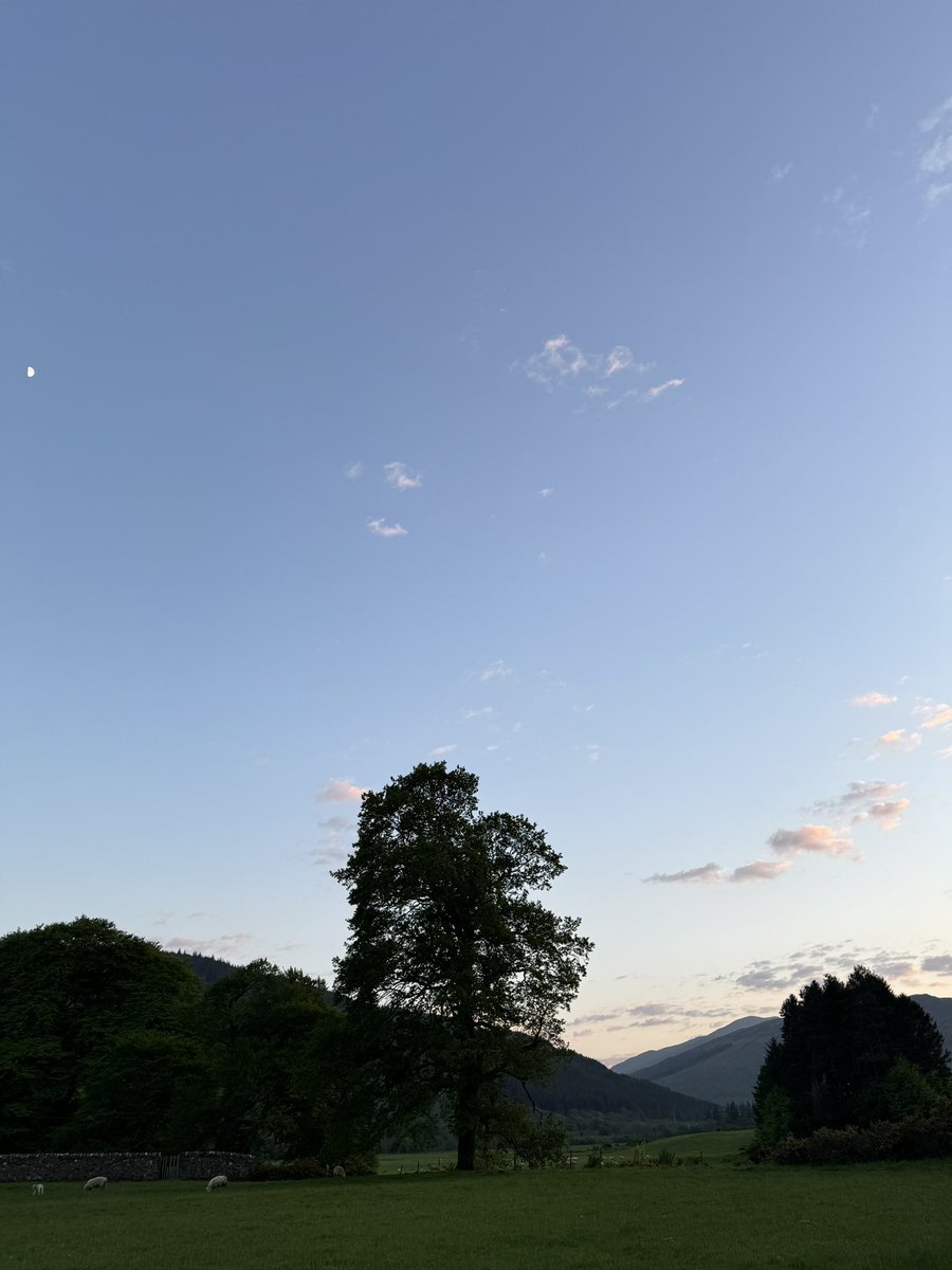 The Moon & Trees 
#TreeClub