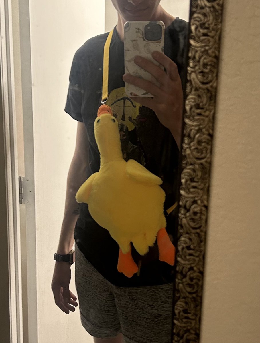 birdhomemaker's tweet image. duck