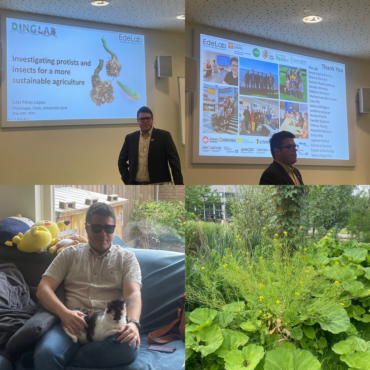 Plant Stress Biology Leiden (@plantstressbiol) on Twitter photo Thanks again to <a href="/Edel_PLopez/">Edel Pérez-López</a> to share a lot of recently published and unpublished research related to insect and microbe caused #crop diseases esp. w/ the impact of #climatechange from his lab #clubroot #leafhoppers
some good š companies & spotting brassicas on our campus š Thanks again to <a href="/Edel_PLopez/">Edel PĆ©rez-López</a> to share a lot of recently published and unpublished research related to insect and microbe caused #crop diseases esp. w/ the impact of #climatechange from his lab #clubroot #leafhoppers
some good š companies & spotting brassicas on our campus š