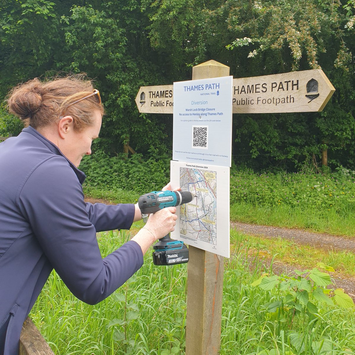 Trail manager Hannah putting up signs about the #ThamesPath National Trail diversion between Shiplake and Henley #fingerpostfriday Download photo-guides to the route 👇nationaltrail.co.uk/en_GB/short-ro… @NationalTrails @NatTrailsUK @HenleyTCM @RiverThames @river_rowing @HenleyTrains