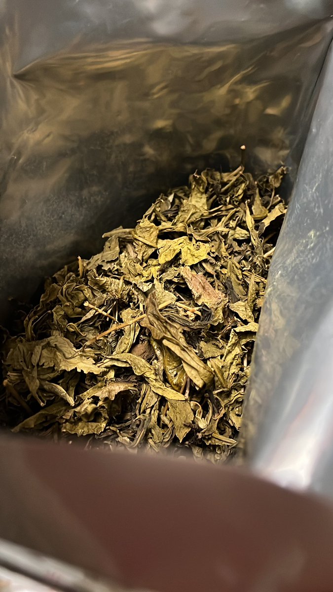 teaandwhisk's tweet photo. Ohhh… Just tried a new yellow tea. I thought I knew yellow tea, I guess I am wrong! Where have you been all my life?? 😍 https://t.co/ZUnbcSSpjL