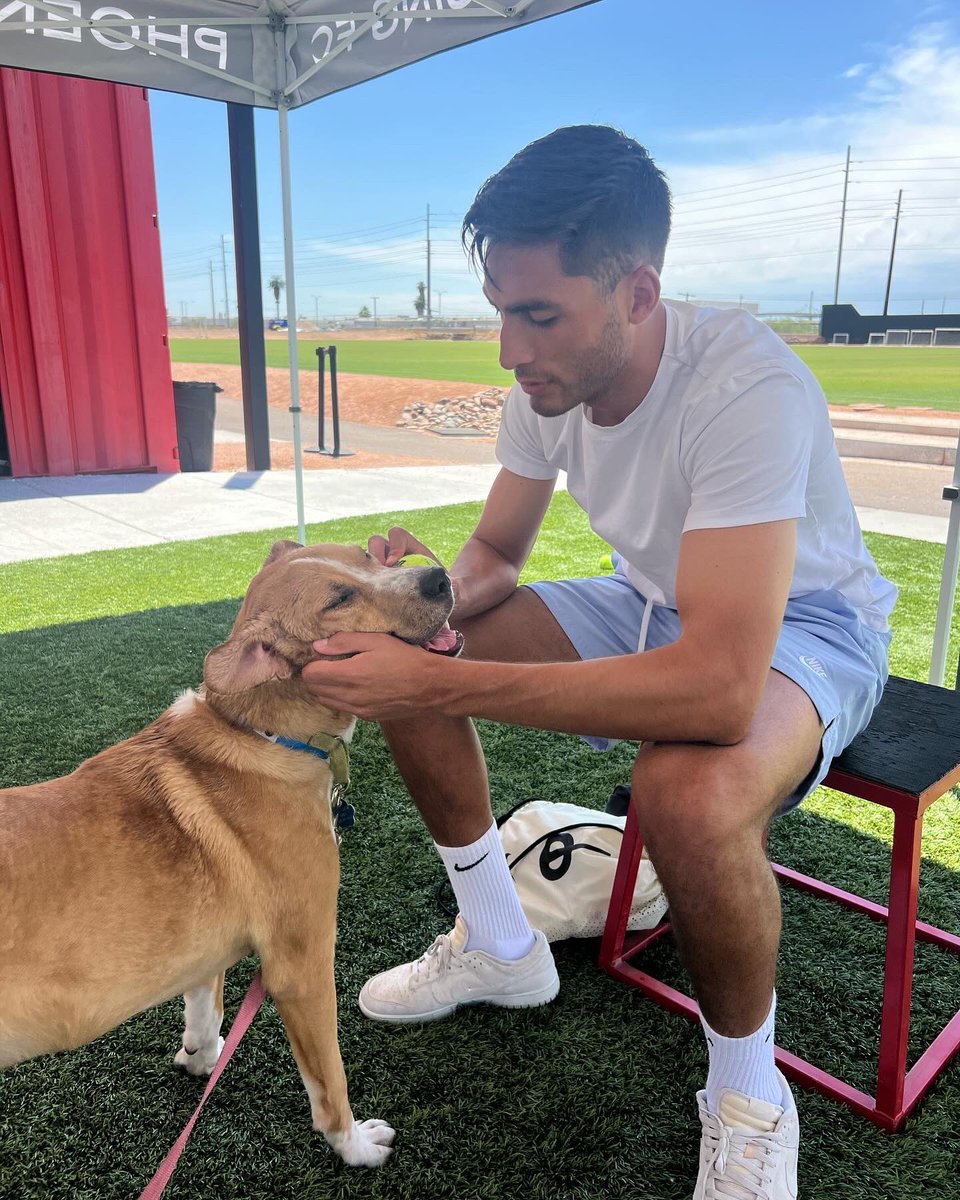 Dogs just make your day better 

#TodosRojos | <a href="/aawlphx/">AAWL</a>