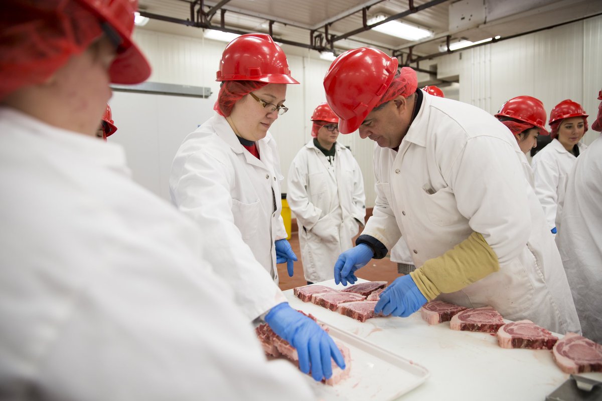 Texas Tech University tweet media