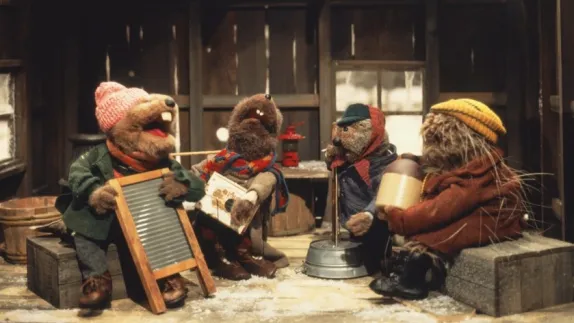 Steve 🐈 🎸☕ 🌹 tweet media