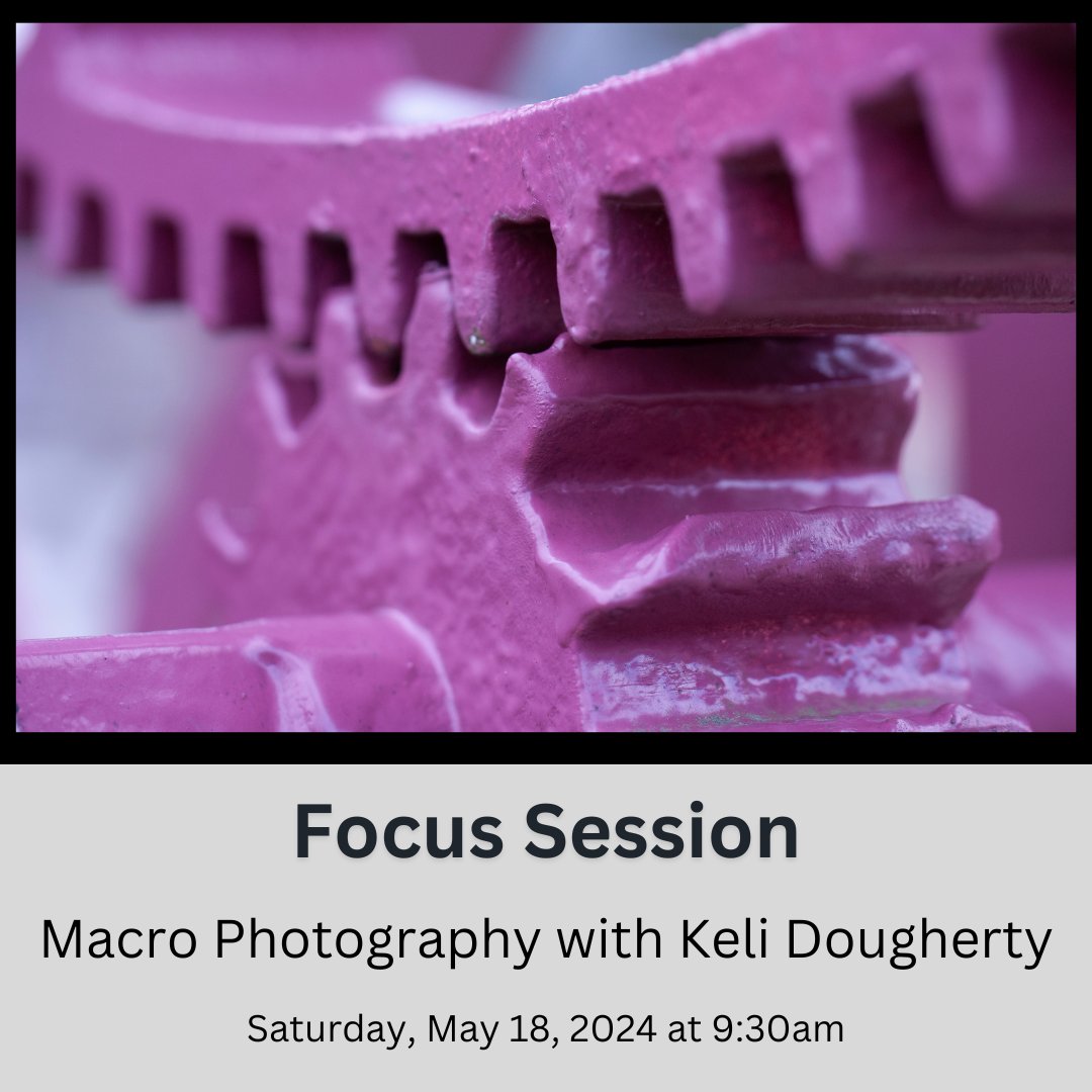Join us for Macro Photography with Keli this Saturday!  5/18 at 9:30am

#bergencountycamera #photography #shoplocal #bergencounty #nikon #canon #bestofnewjersey #njphotographers #supportsmallbusiness