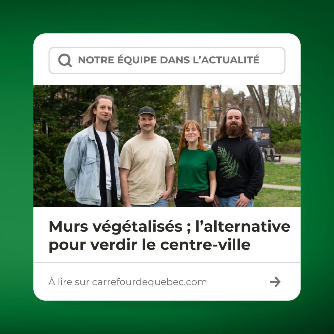 Notre équipe de verdissement urbain apparait dans l'actualité pour parler de notre projet-pilote de murs végétalisés en collaboration avec la Ville de Québec! 🤩🌿 Pour lire l'article, rendez-vous sur Le carrefour de Québec ! 👀