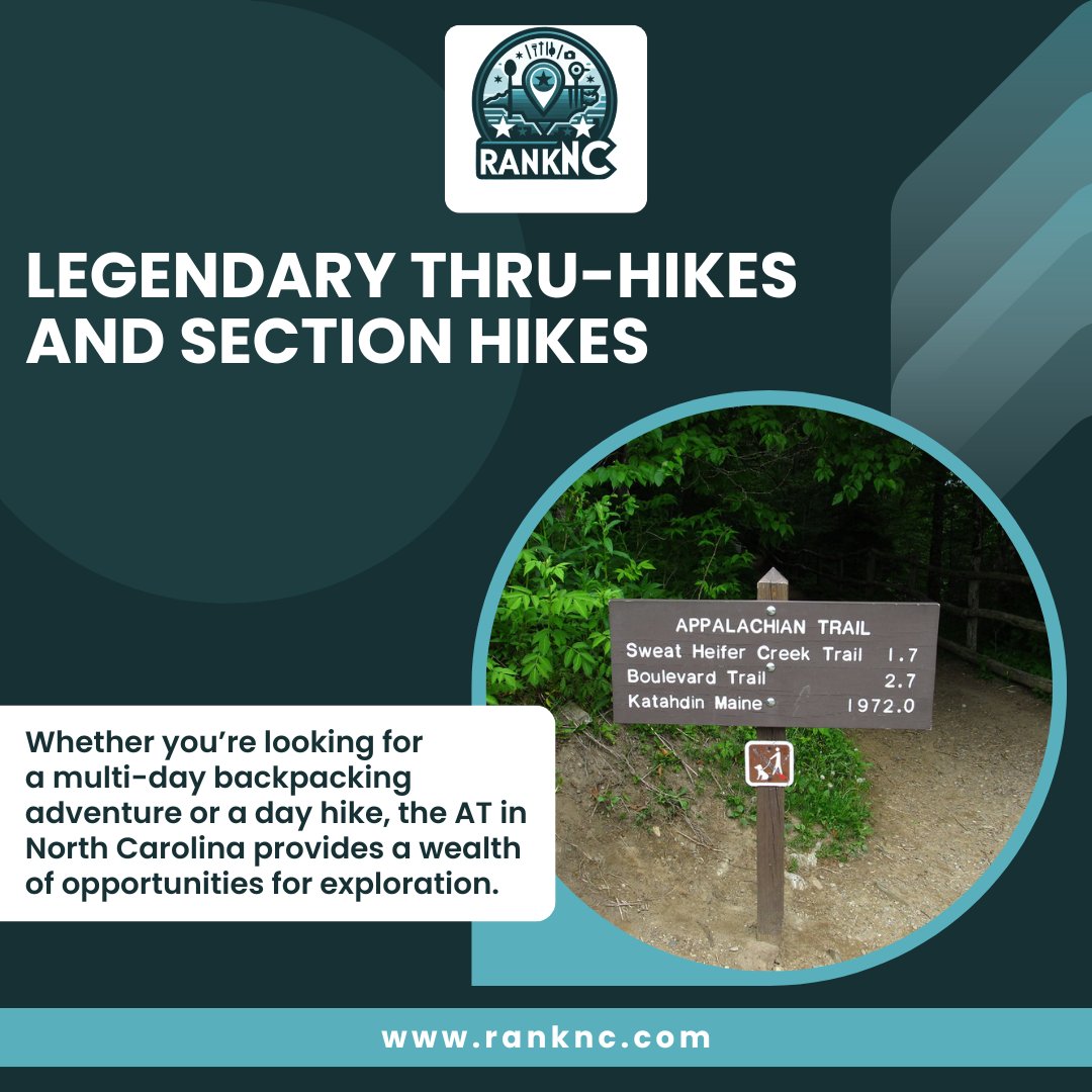 rank_nc's tweet photo. The Appalachian Trail (AT) winds through North Carolina, offering a range of experiences from challenging mountain ascents to serene forest walks.

https://t.co/rRJqalKhlA

#RankNC #explorenc #ncadventures #discovercarolina #nchiddengems #nctravels #visitnc #nchiking #ncoutdoors https://t.co/dH2hCNbcpy