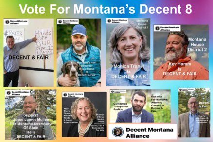 problembear tweet media