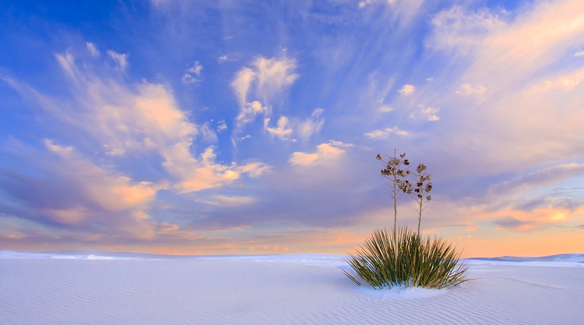 The brilliant white gypsum sands at White Sands National Park make a surreal and breathtaking setting in the Tularosa Basin in southern New Mexico. Photo by Donna Schneider