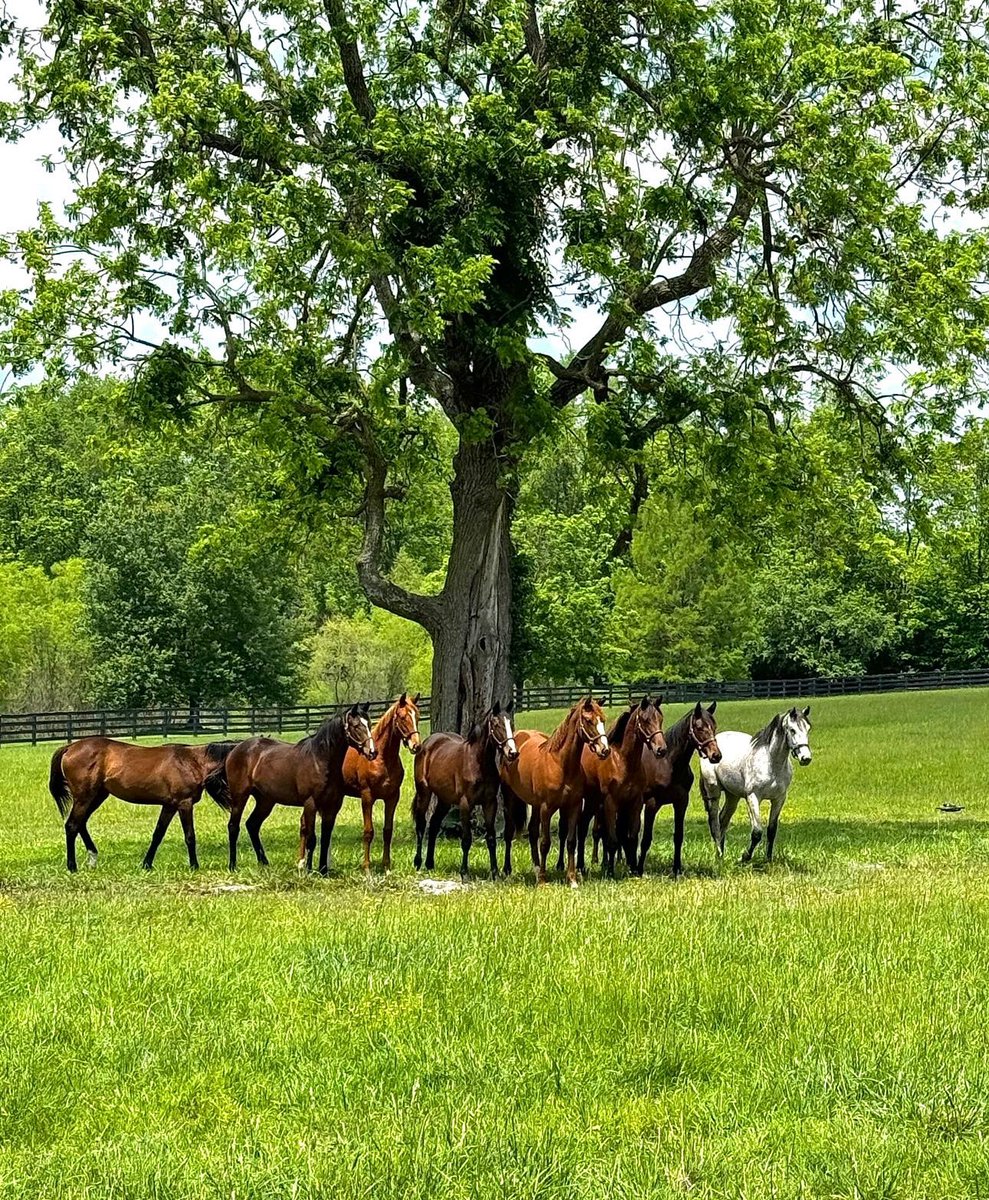 Resolute Racing tweet media