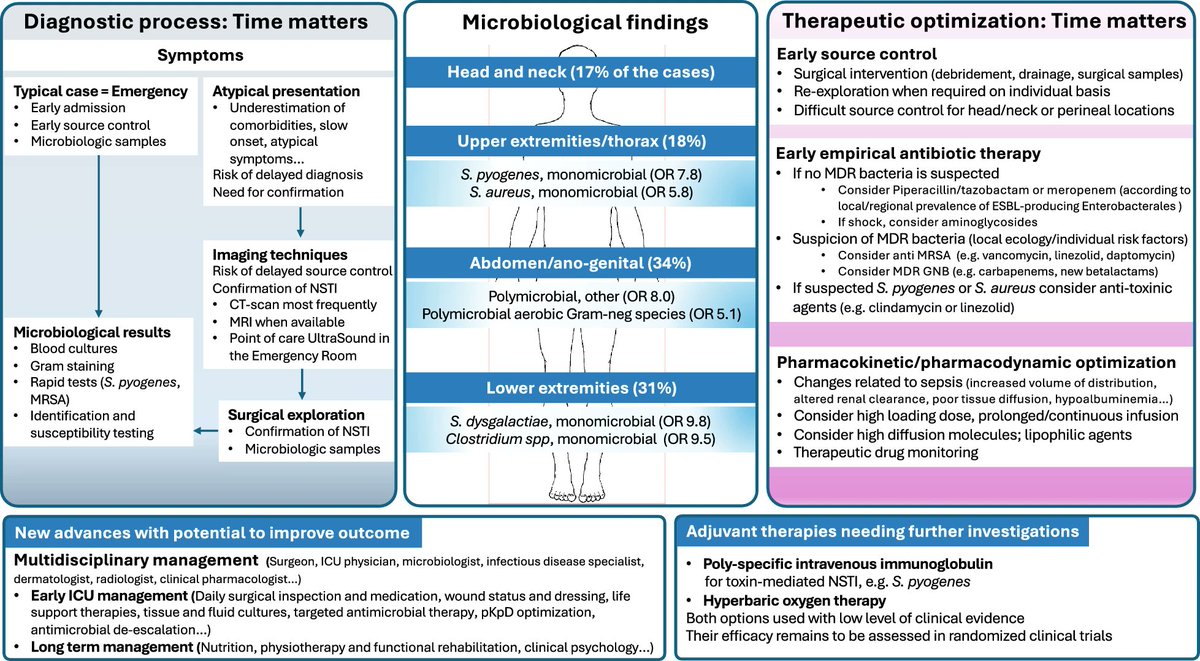 Fantastic 🆕️🔥 article @yourICM Treating necrotizing skin and soft-tissue infections #IDXposts link.springer.com/article/10.100…