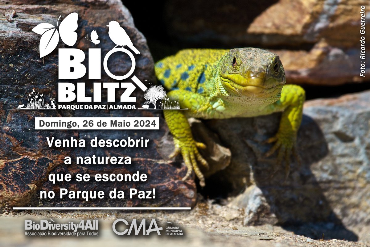 No dia 26 de maio voltamos ao Parque da Paz, em Almada, para mais um #BioBlitz! 🔎🦋🌿🐌 Um dia dedicado ao conhecimento da biodiversidade deste parque, com saídas de campo guiadas por especialistas em diversas áreas. #Citizenscience @CMAlmada

Inscrição👉 cm-almada.pt/bioblitz-parqu…