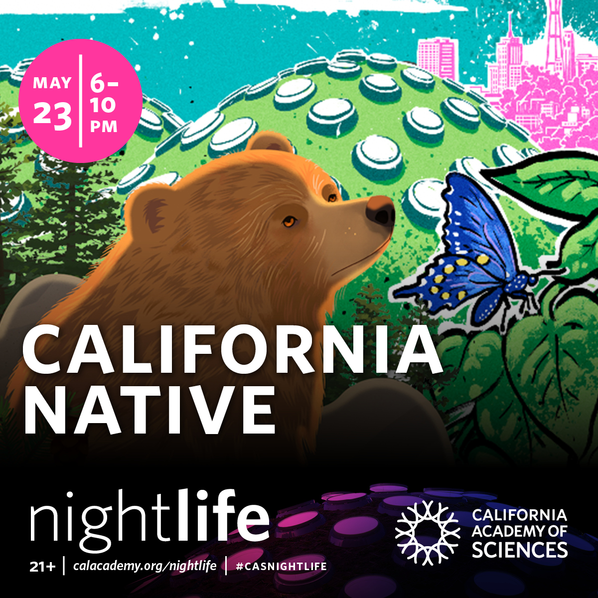 Beyond stoked to be giving a talk on coyotes, cities, and coexistence at NightLife: California Native at the @calacademy next Thursday 5/23 at 8:30pm! Come enjoy the museum after dark and get a sneak peak at the new California: State of Nature exhibit🌉

calacademy.org/nightlife/nigh…