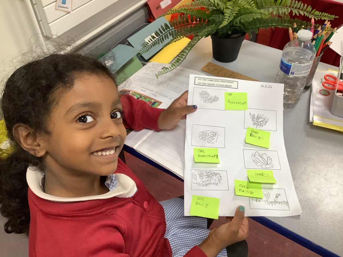 In science Y1 went outside to record some real life plants. They focused on the window technique.  It focused the children to a smaller window for recording - it was lovely to see the children observationally drawing, then once inside they could label their own work ⭐️⭐️⭐️⭐️⭐️