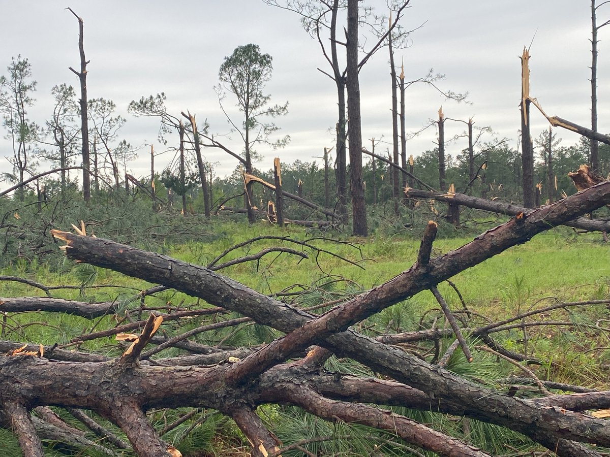 All recreation areas on Blackwater River State Forest will be open as of Friday morning following cleanup from an EF2 tornado.

facebook.com/FFSBlackwater for more detials.