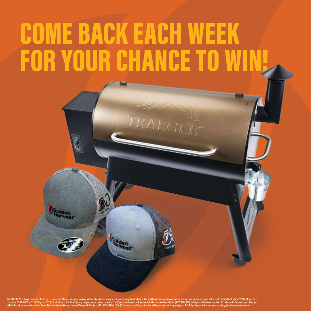 Golden Harvest Seeds tweet media