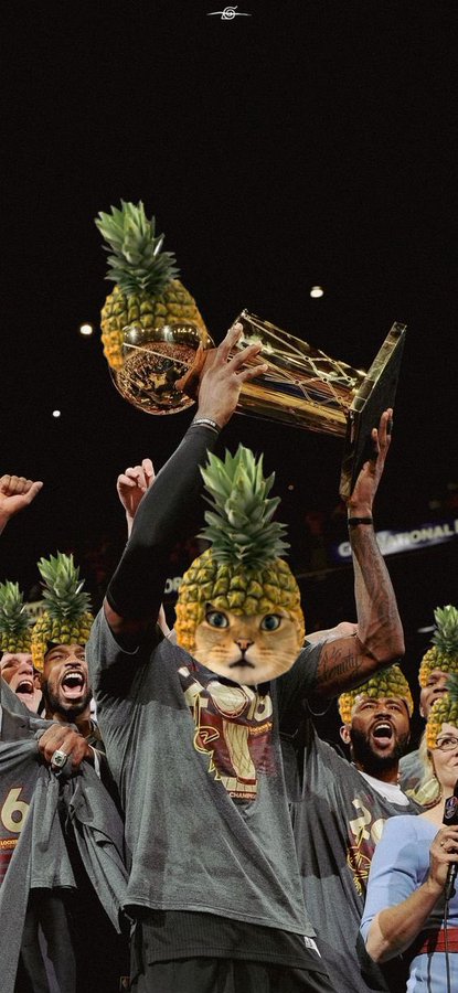 Pineapple Cat 🍍🐱 tweet media