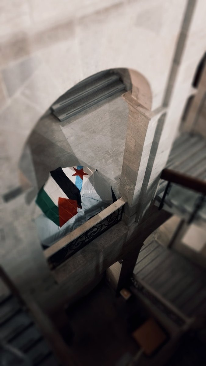 Galiza con Palestina, o estudantado galego con Palestina.

Hoxe, mañá e sempre #PalestinaVencerá 🇵🇸✊🏻