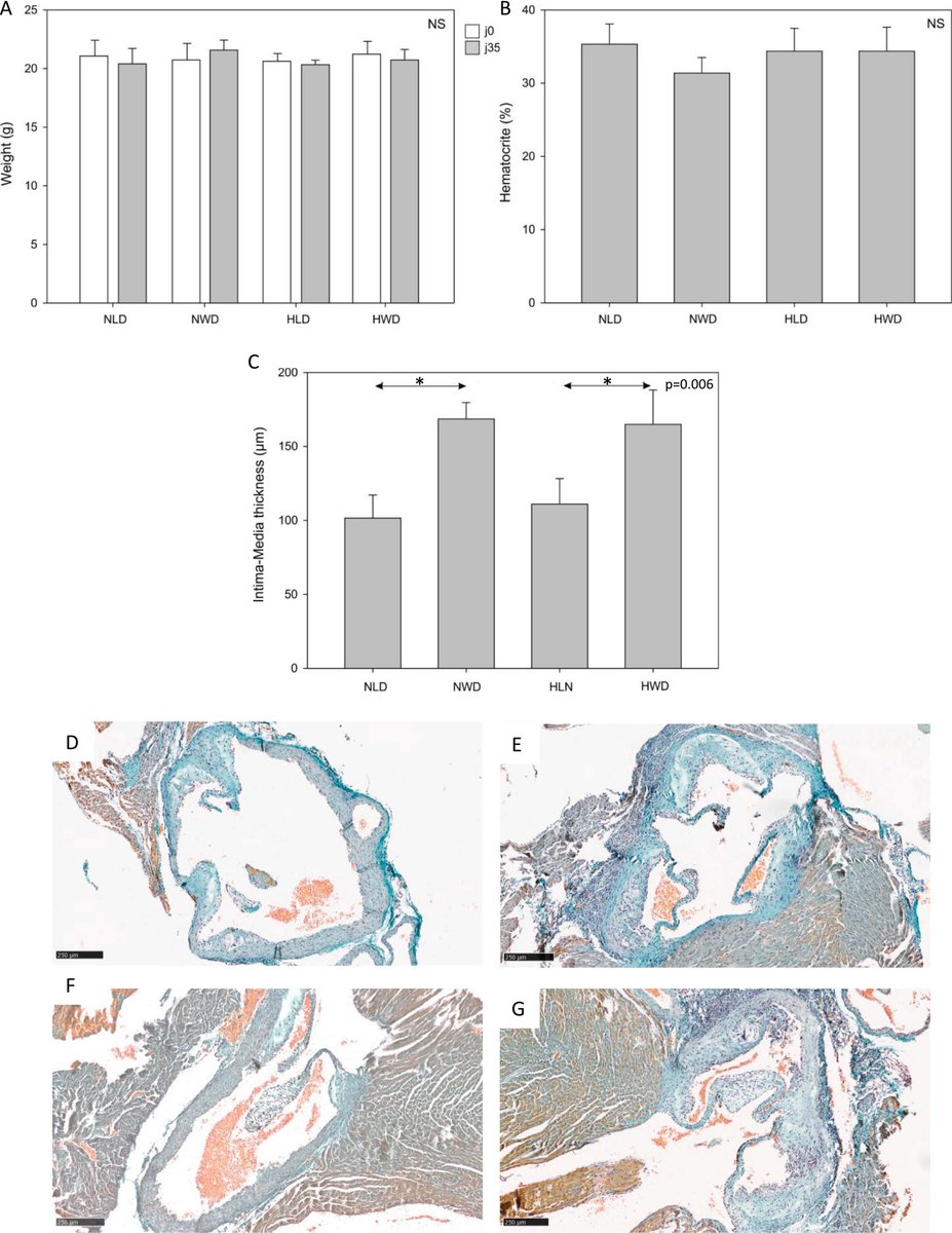 Journal of Molecular and Cellular Cardiology (@jmccardiology) on Twitter photo Letter to the Editor: Does female sex matter in a chronic intermittent #hypoxia mouse model? buff.ly/4biEhvJ
<a href="/k8weeks/">Dr Kate Weeks</a> @vagnozzirj @monikagladka @ELS_Cardiology Letter to the Editor: Does female sex matter in a chronic intermittent #hypoxia mouse model? buff.ly/4biEhvJ
<a href="/k8weeks/">Dr Kate Weeks</a> @vagnozzirj @monikagladka @ELS_Cardiology