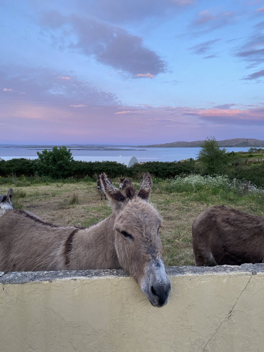 ⁦@johncreedon⁩ Back west in Carna for a few days BREATHE !