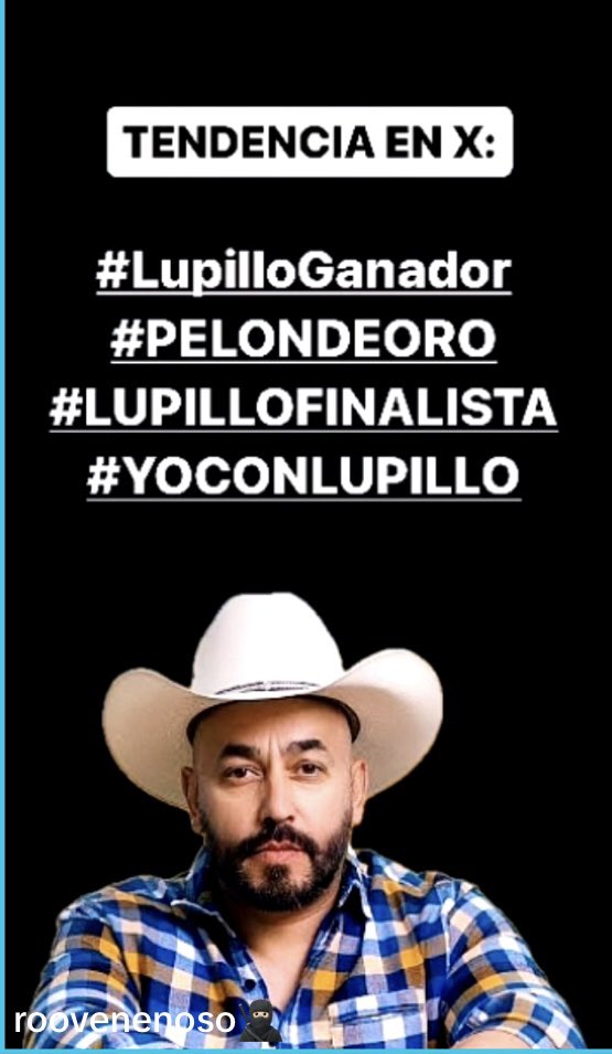 #LupilloGanador
#PELONDEORO
#LUPILLOFINALISTA
#YOCONLUPILLO
 #LupilloPelonYaEresGanador