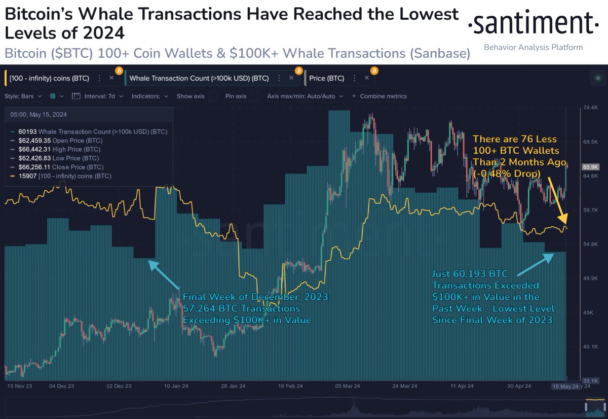 Bitcoin Whales Quiet Down – Here’s Why And What It Means For The Market