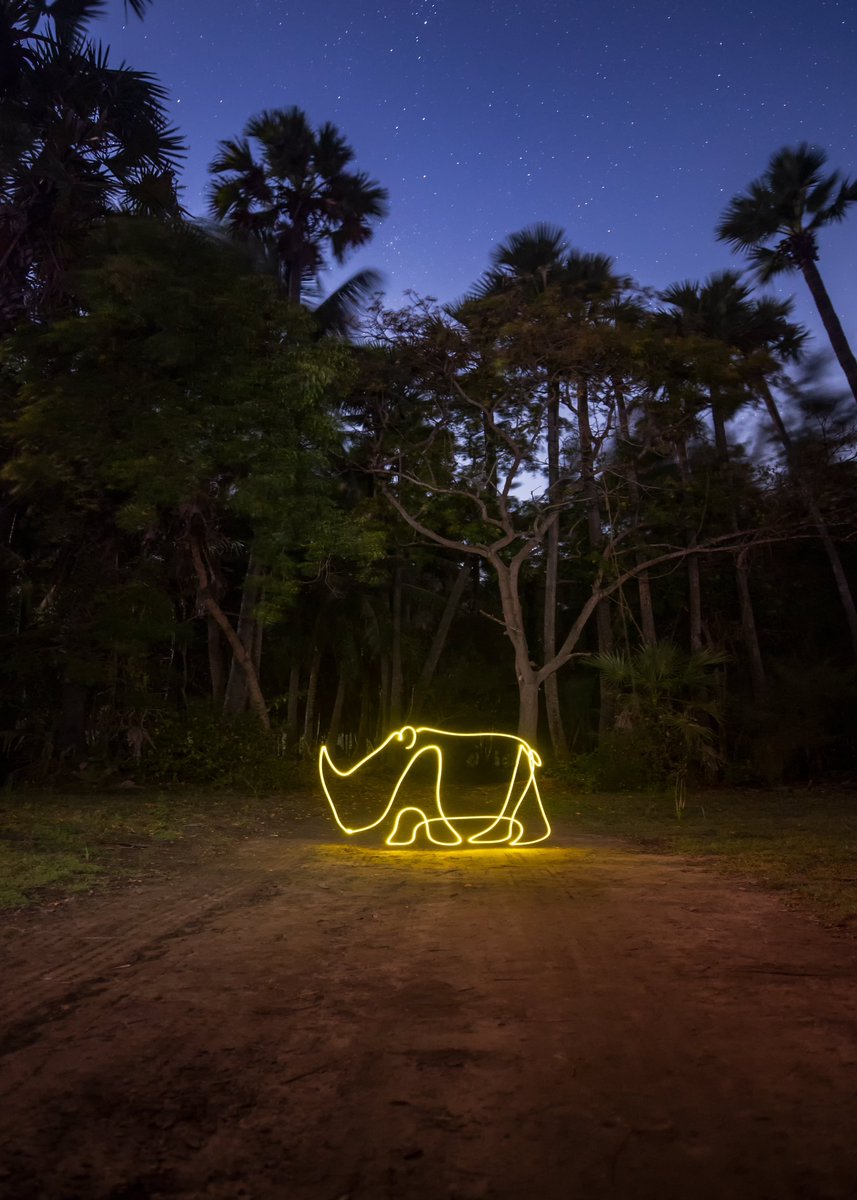 Skip the safari! <a href="/jveerendra/">veerendra jillella 🦉</a> brings wildlife to life with light and imagination - unreal! 

With <a href="/drip_haus/">DRiP 💧</a>’ new 'secure' model, these can be secured to your wallet if you have subscribed to our creator page.

drip.haus/theburrow

Details👇🏾