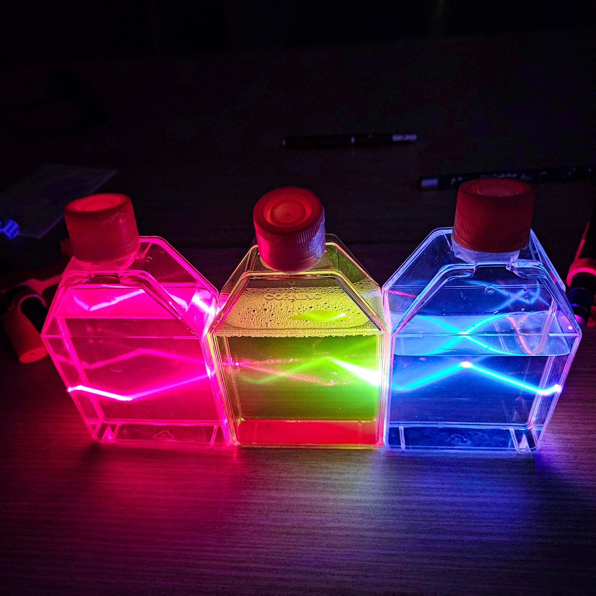 José Rino (@jose_rino_) on Twitter photo Celebrating the International Day of Light at @IGCiencia. Lasers and fluorescent solutions for school kids to play with, at one of the stations prepared for the <a href="/PPBioImaging/">PPBI-Portuguese Platform of BioImaging</a> MICRODia. Full team brought together imaging facilities from 5 research institutes in Lisbon and Oeiras. Celebrating the International Day of Light at @IGCiencia. Lasers and fluorescent solutions for school kids to play with, at one of the stations prepared for the <a href="/PPBioImaging/">PPBI-Portuguese Platform of BioImaging</a> MICRODia. Full team brought together imaging facilities from 5 research institutes in Lisbon and Oeiras.