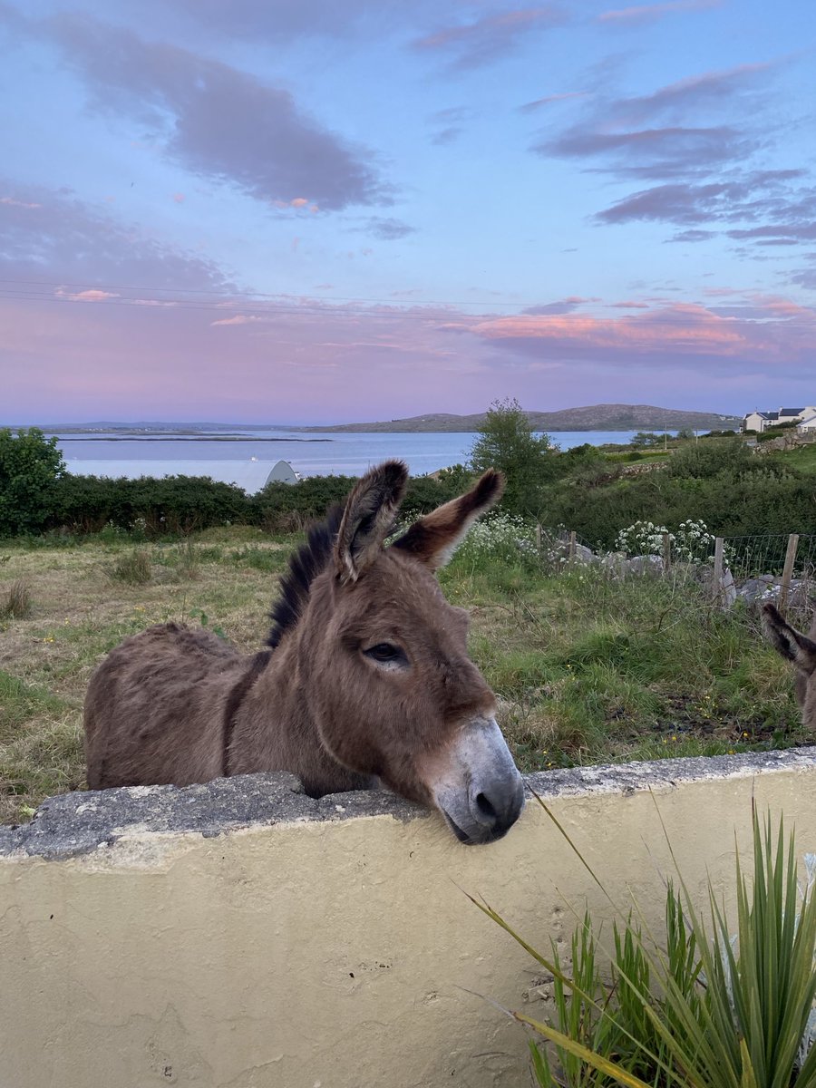 ⁦@CoynesGastropub⁩ So looking forward to a couple of days here in Connemara SOLD OUT .. we will be back 🙏