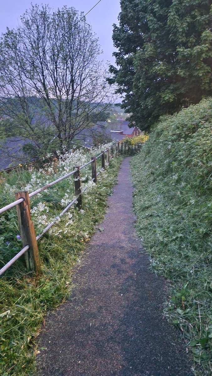 Big thank you to @wrexhamcbc Public Rights of Way team for arranging to cut back the overgrowth on the 'Red Path' in Brymbo.