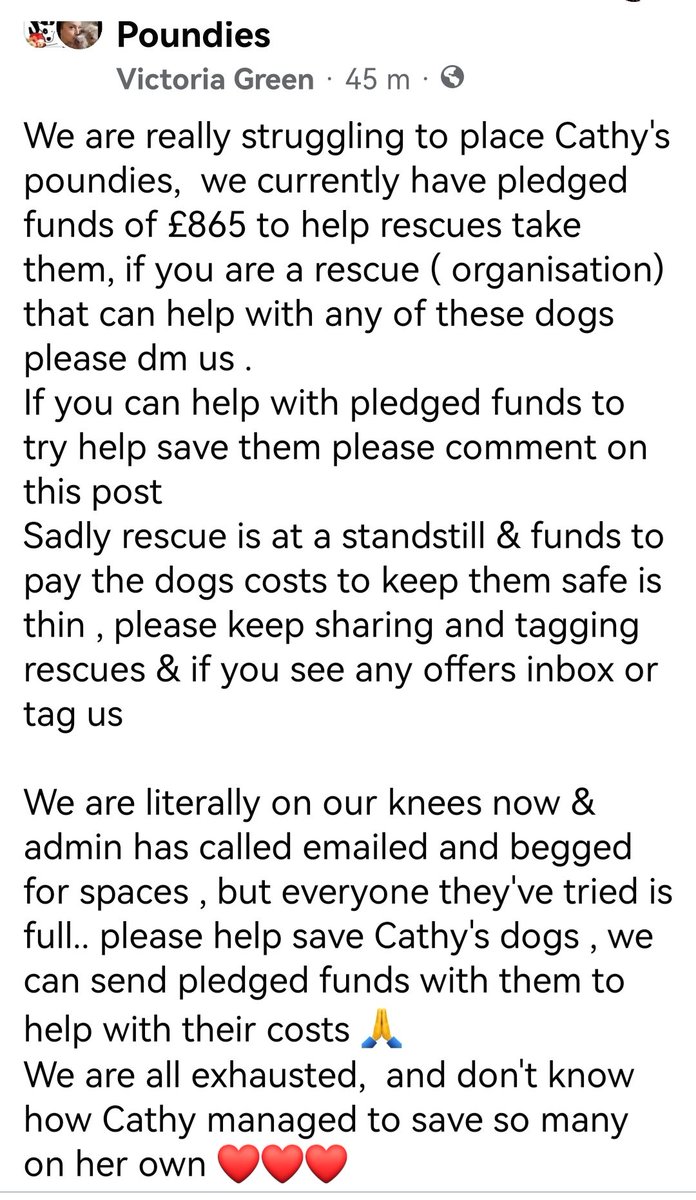 🆘🙏Are you a UK #Rescue❓ I know. a hard ask,but pls can you help save 1 or all 9 of these Dogs🙏 Cathy Holding volunteer 🐾PoundPuller is very poorly in hospita😥 & colleagues & friends desperately trying to save 9 dogs from PTS 😥Time running out to #saveCathyspoundies