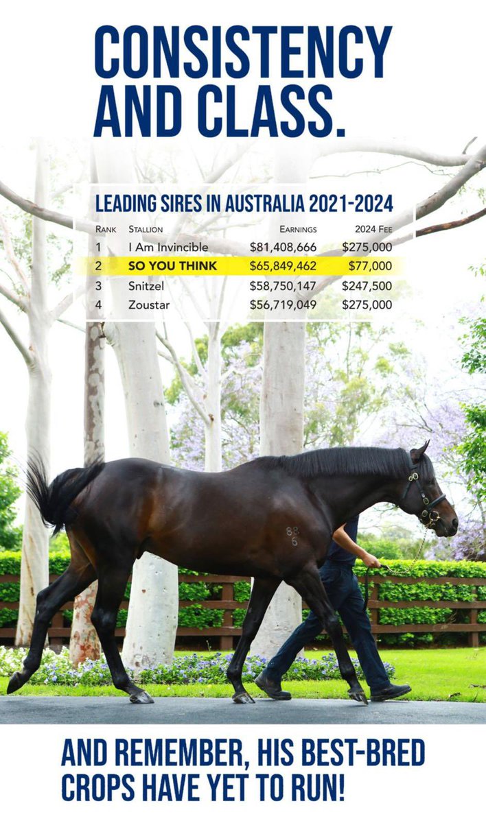 A World Class Racehorse & Now a Leading Sire with 11 G1 winners and Counting… @CoolmoreAus