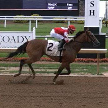 #EddieWoodsStables grad STREAMING NOW draws away in the stretch to an easy 4-length allowance win at @HSIndyRacing.

The GSP filly by @SpendthriftFarm's Into Mischief is an #OXOEquine homebred trained by @P_H_Lobo and ridden by @E_RomanOfficial🇵🇷. 

Congrats to the connections!