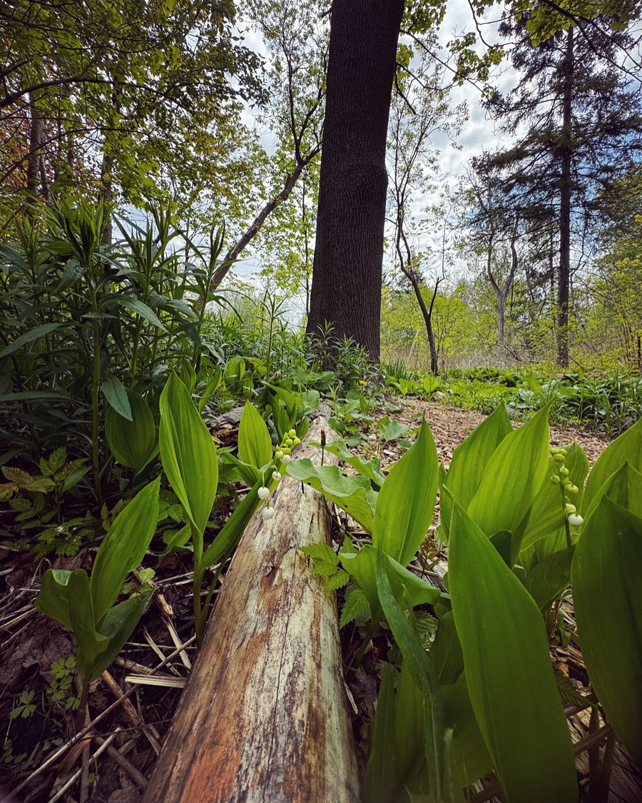 James Garden 💖🍃