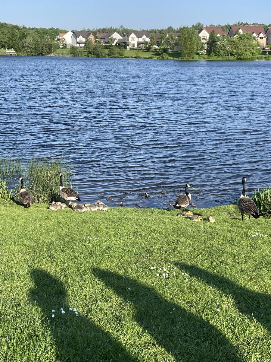 Some fabulous photos from our Walk and Talk for #MentalHealthAwarenessWeek in partnership with Tony’s Safe Place and our local Co-Op Member Pioneer! 

Thanks to everyone who came along 💚