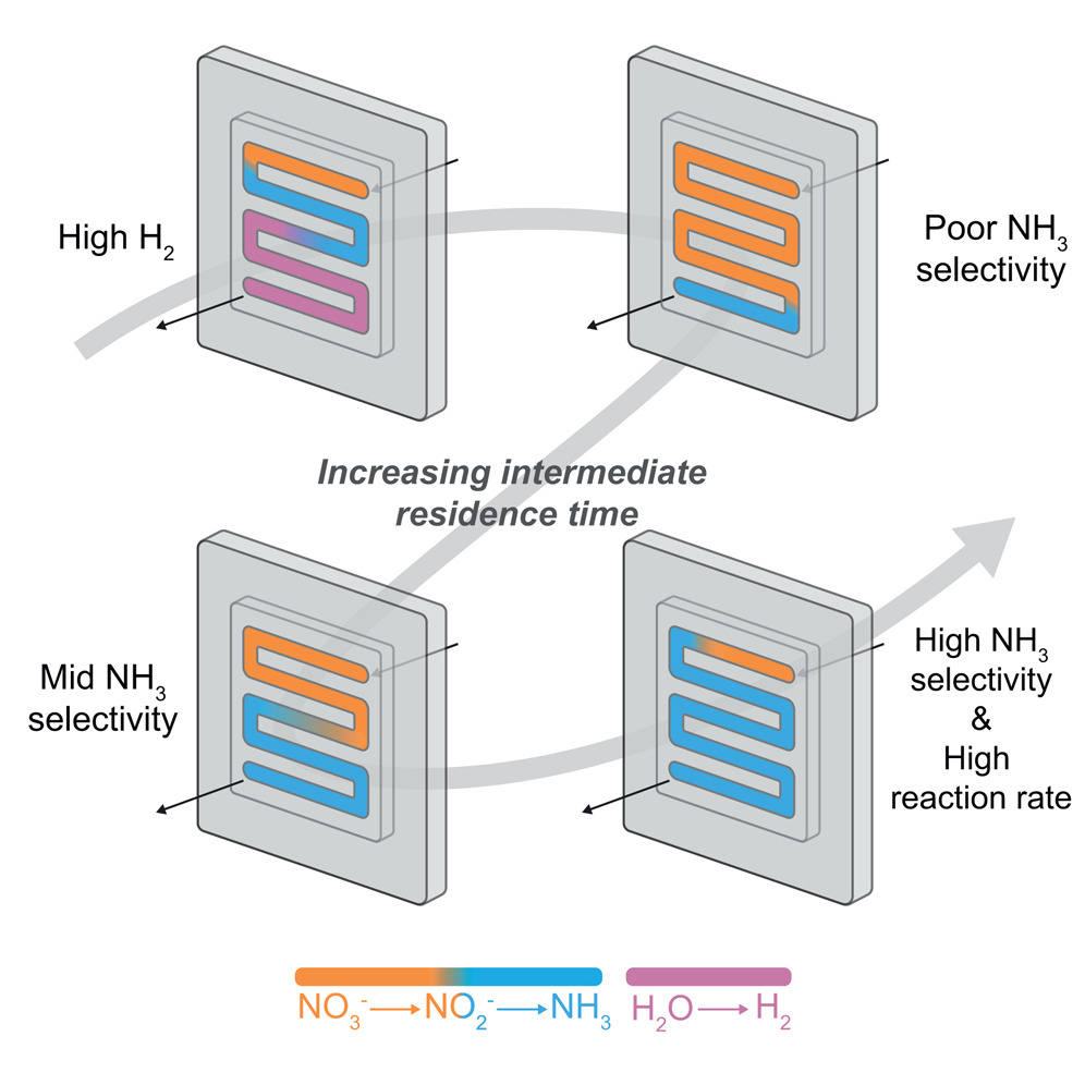 I'm thrilled to announce the last publication of my PhD titled 'Sequential electrocatalytic reactions along a membrane electrode assembly drive efficient nitrate-to-ammonia conversion' in @CellRepPhysSci! [lnkd.in/gjFwjgED]