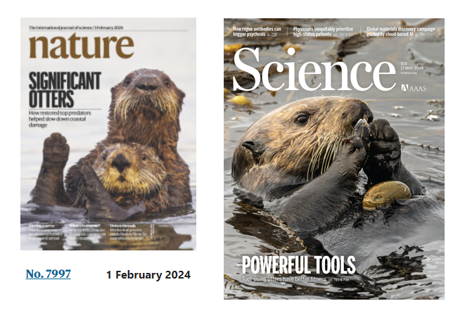 Nature and Science appearances in 2024: Me: 0 Otters: 2