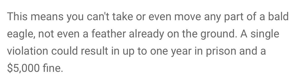 A Native had their graduation cap taken away b/c it had traditional beadwork &amp; an eagle feather. The school (Farmington HS) cut the feather off.

Other students decorated caps. This is discrimination. It’s also a CRIME. Non-Natives stealing or moving an eagle feather is illegal.