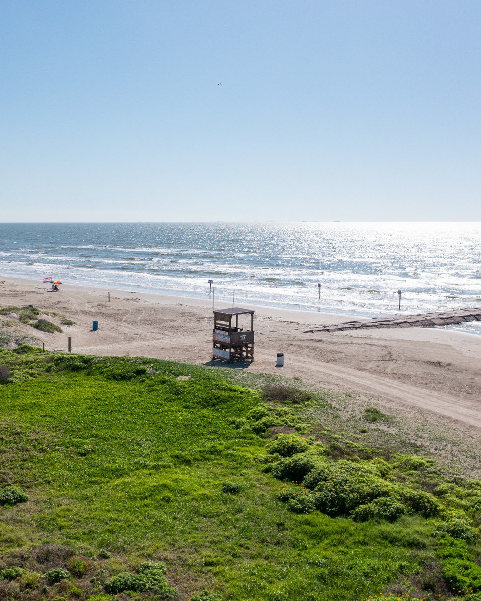 Memorial Day weekend is coming up! Are you planning on coming down to Galveston Island? 🏝️ 🇺🇸 💙 

Comment the #1 thing you need to do for a long weekend on Galveston Island!

#LoveGalveston | VisitGalveston.com