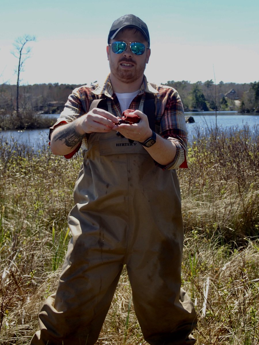 Dr. Crayfish tweet media