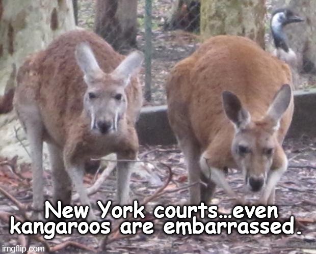 @bennyjohnson #KangarooCourt
#frivolouslawsuit
#ElectionInterference