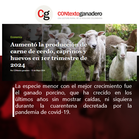 En los primeros tres meses del año los sectores de especies menores tuvieron resultados variados: el sacrificio de cerdos y de caprinos creció, así como la producción de huevos, en tanto que la producción de ovinos y de pollo declinó con respecto al mismo periodo de 2023.@Fedegan