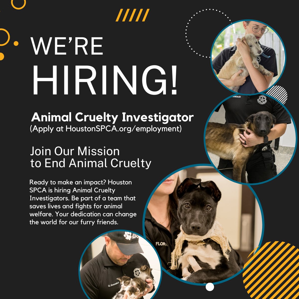 Join Our Mission to End Animal Cruelty Ready to make an impact? We are hiring Animal Cruelty Investigators. Be part of a team that saves lives and fights for animal welfare. Your dedication can change the world for our furry friends. Apply today! HoustonSPCA.org/employment