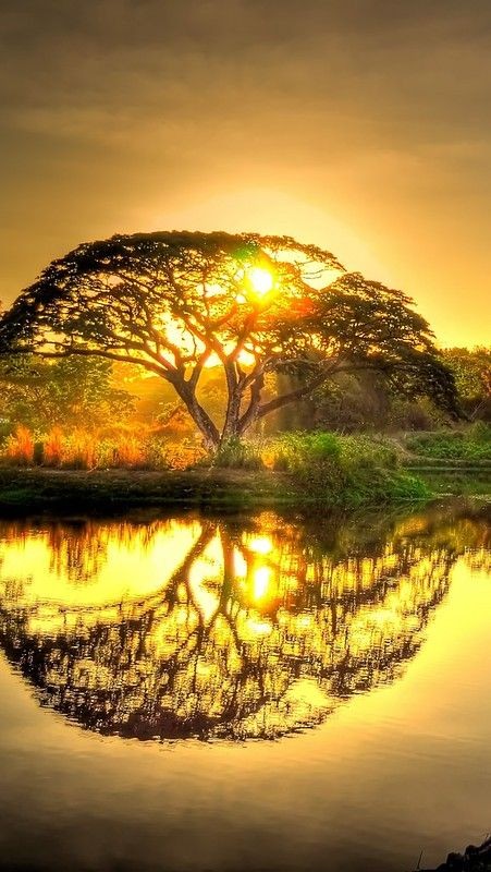 صبح کی حسین تازگی کی مانند دوست کو السلام علیکم 
صبح بخیر