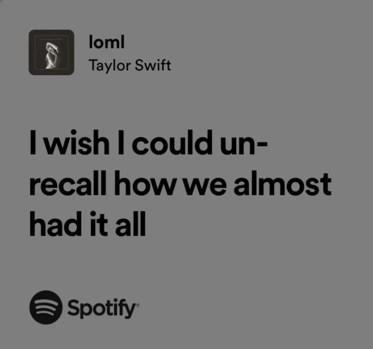 what's the one taylor lyric noone really gets as much as you?